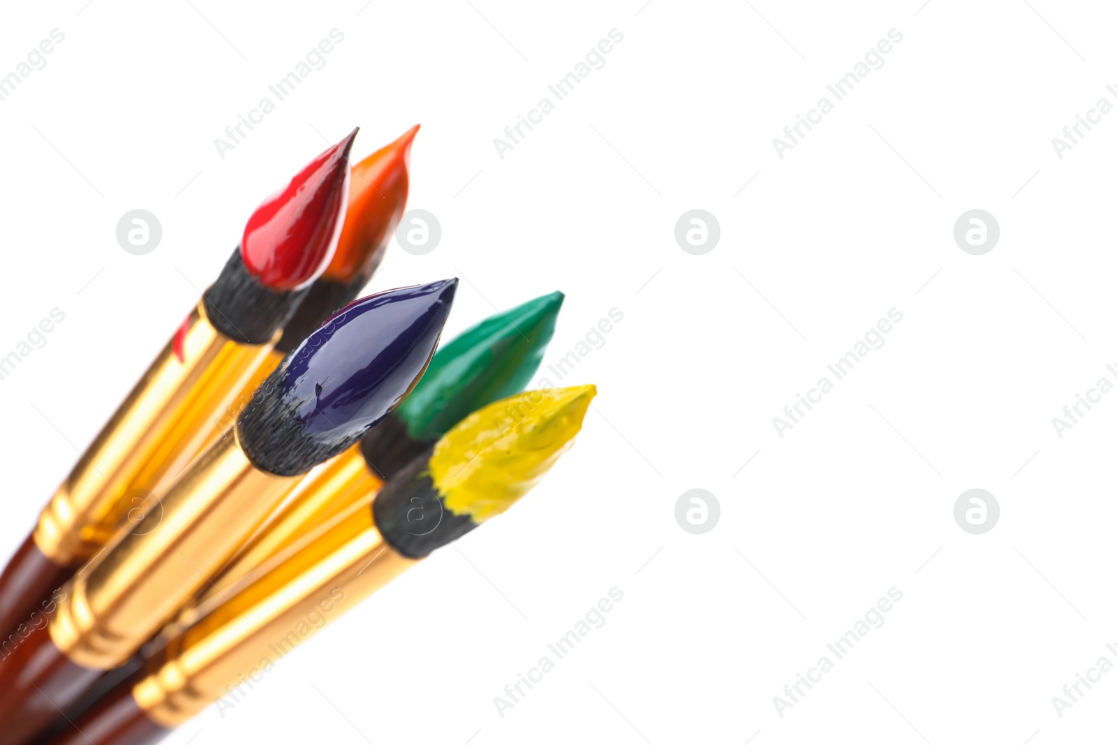 Photo of Brushes with colorful paints on white background