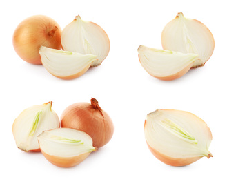 Image of Set of yellow cut and whole onion on white background