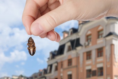 Image of Woman holding dead cockroach and blurred view of buildings on background. Pest control