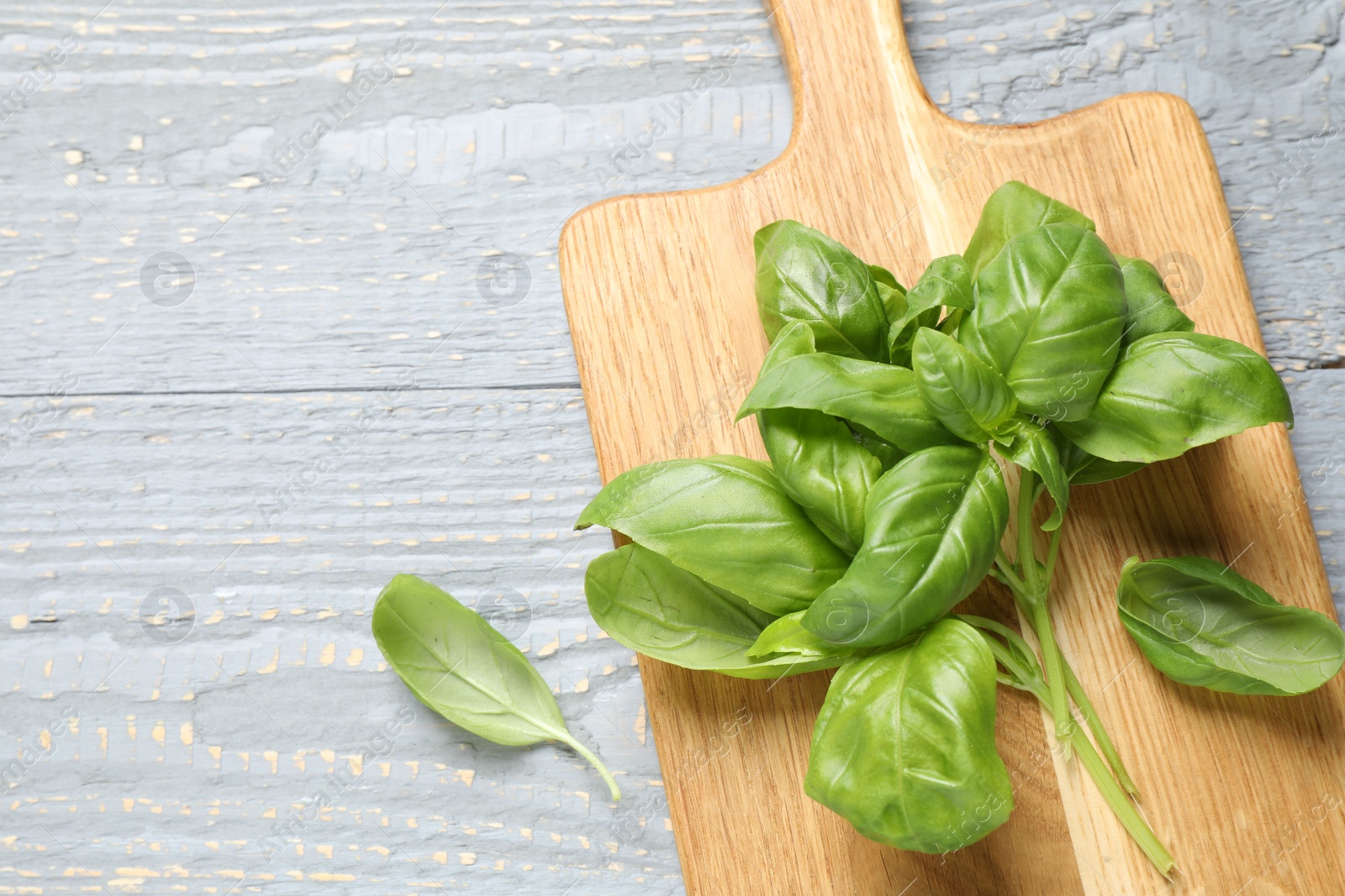 Photo of Fresh green basil on light grey wooden table, above view