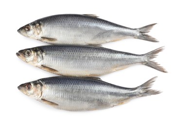 Photo of Delicious whole salted herrings isolated on white, top view