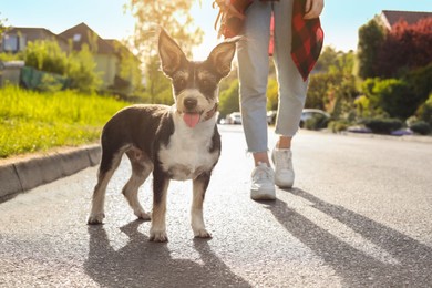 Photo of Woman walking her cute dog on city street, closeup