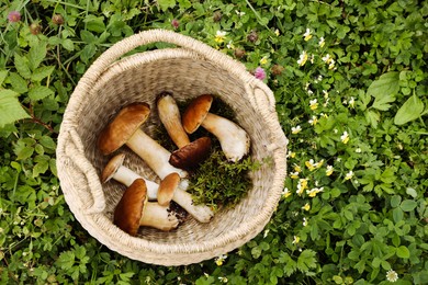 Photo of Wicker basket with fresh wild mushrooms outdoors, top view. Space for text