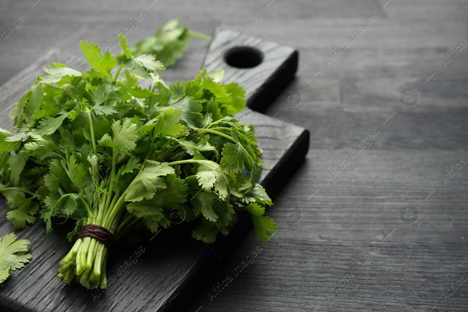 Photo of Bunch of fresh coriander on black wooden table, closeup. Space for text