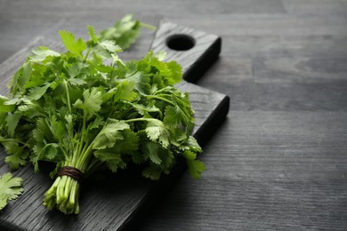 Bunch of fresh coriander on black wooden table, closeup. Space for text