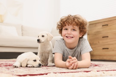 Little boy with cute puppies on carpet at home