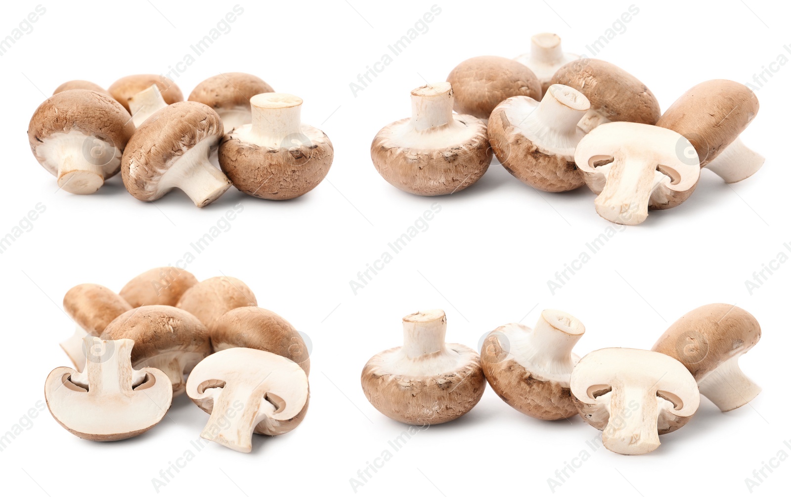 Image of  Set with fresh champignon mushrooms on white background