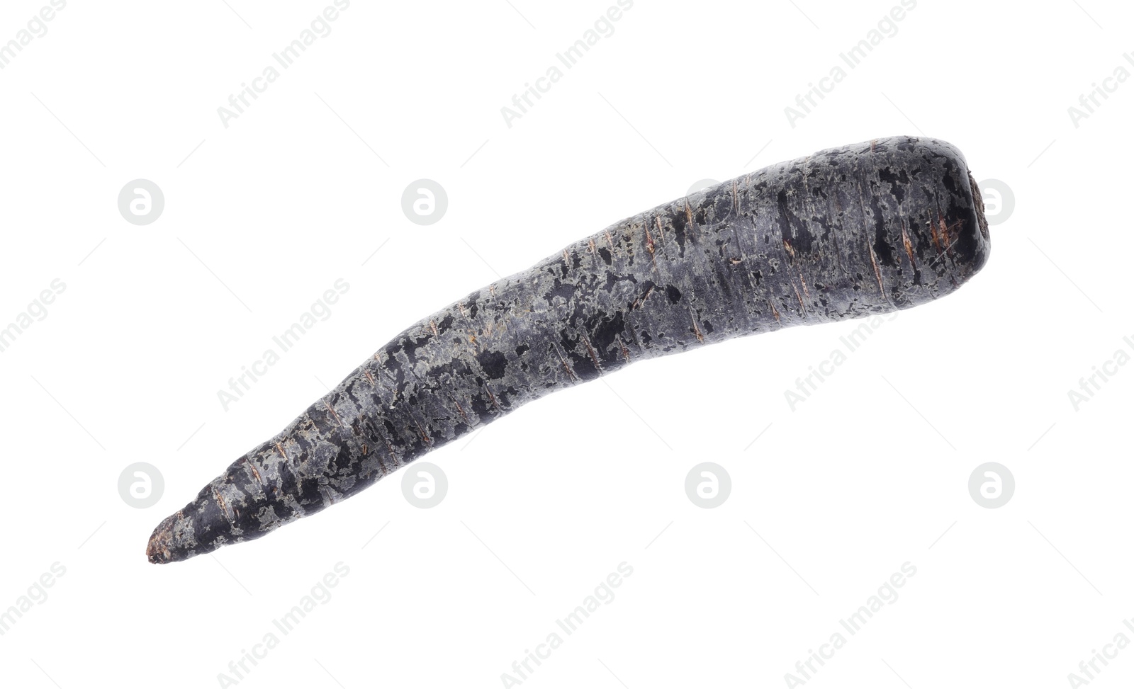 Photo of Fresh raw black carrot isolated on white