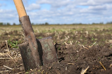 Shovel with wooden handle in field soil, space for text