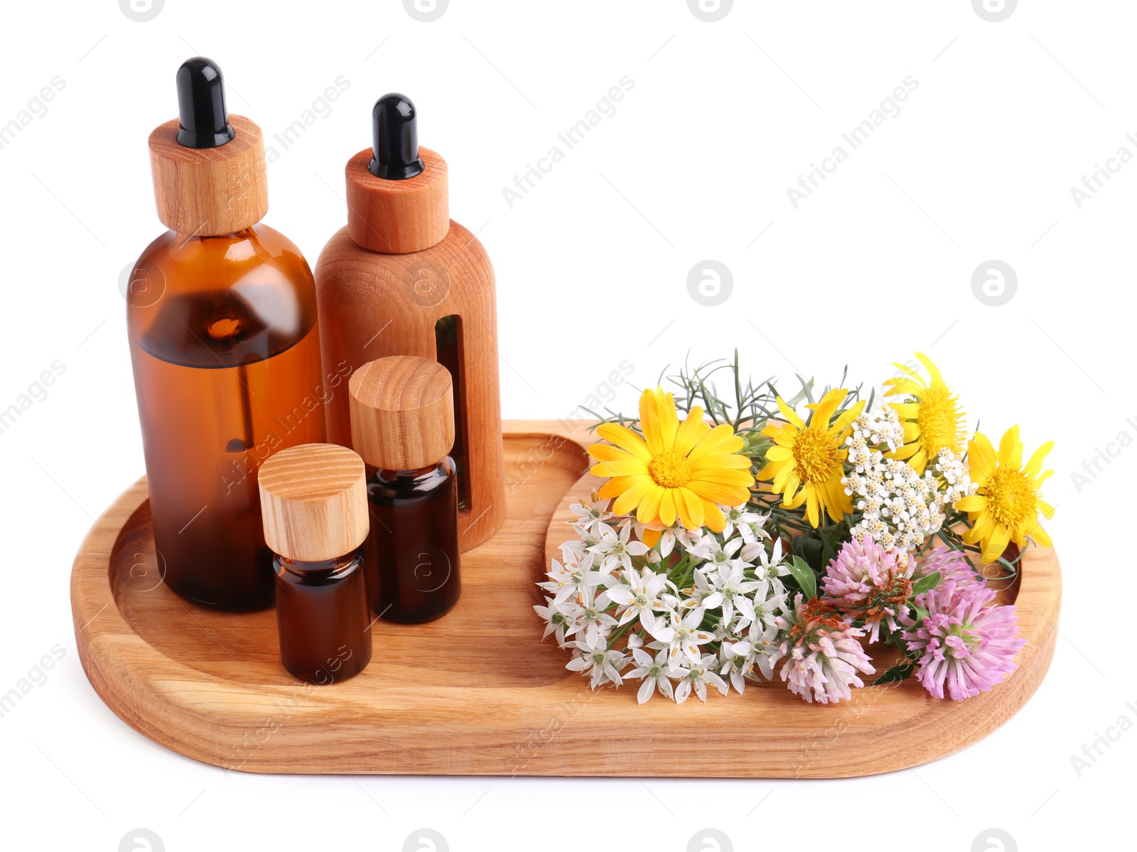 Photo of Tray with bottles of essential oils and different wildflowers on white background