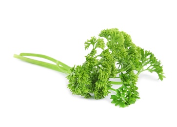 Fresh green organic parsley on white background