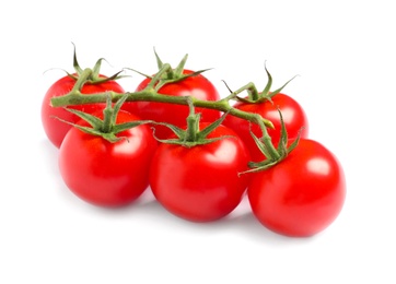 Branch of fresh cherry tomatoes isolated on white