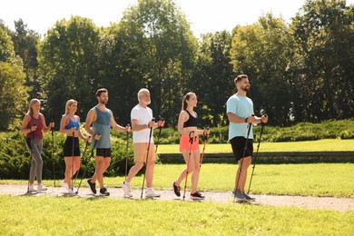 Photo of Group of people practicing Nordic walking with poles in park on sunny day