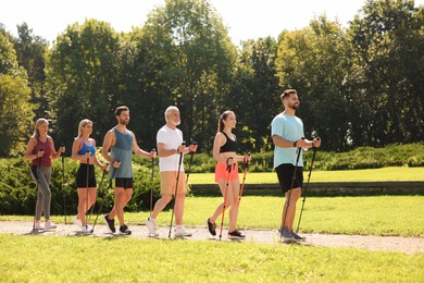 Group of people practicing Nordic walking with poles in park on sunny day