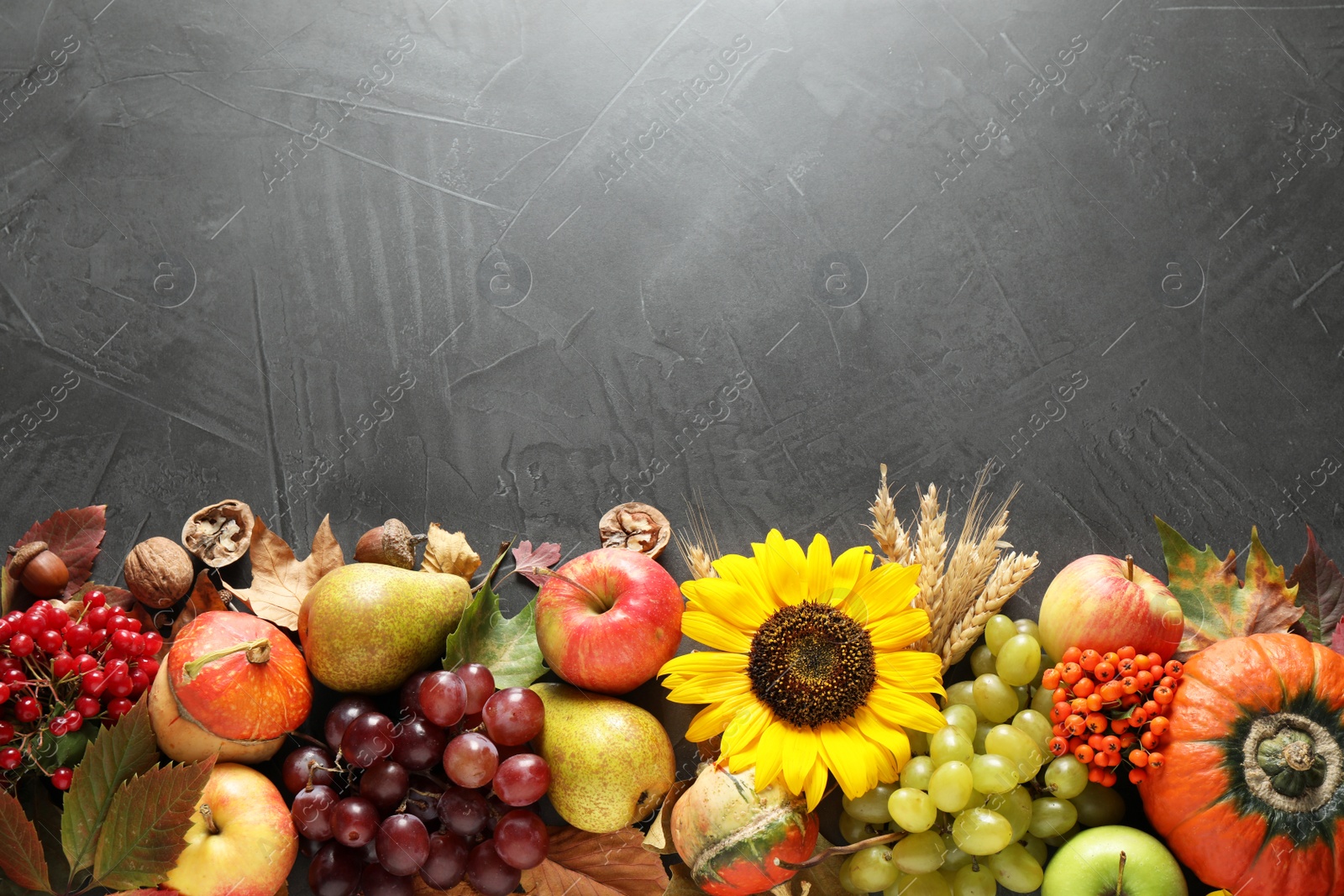 Photo of Autumn fruits and vegetables on grey background, flat lay with space for text. Happy Thanksgiving day
