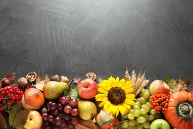 Autumn fruits and vegetables on grey background, flat lay with space for text. Happy Thanksgiving day