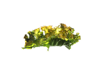 Tasty baked kale chip isolated on white