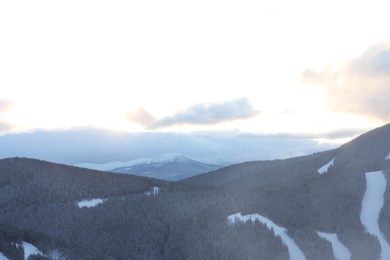 Photo of Beautiful mountain landscape with forest in winter