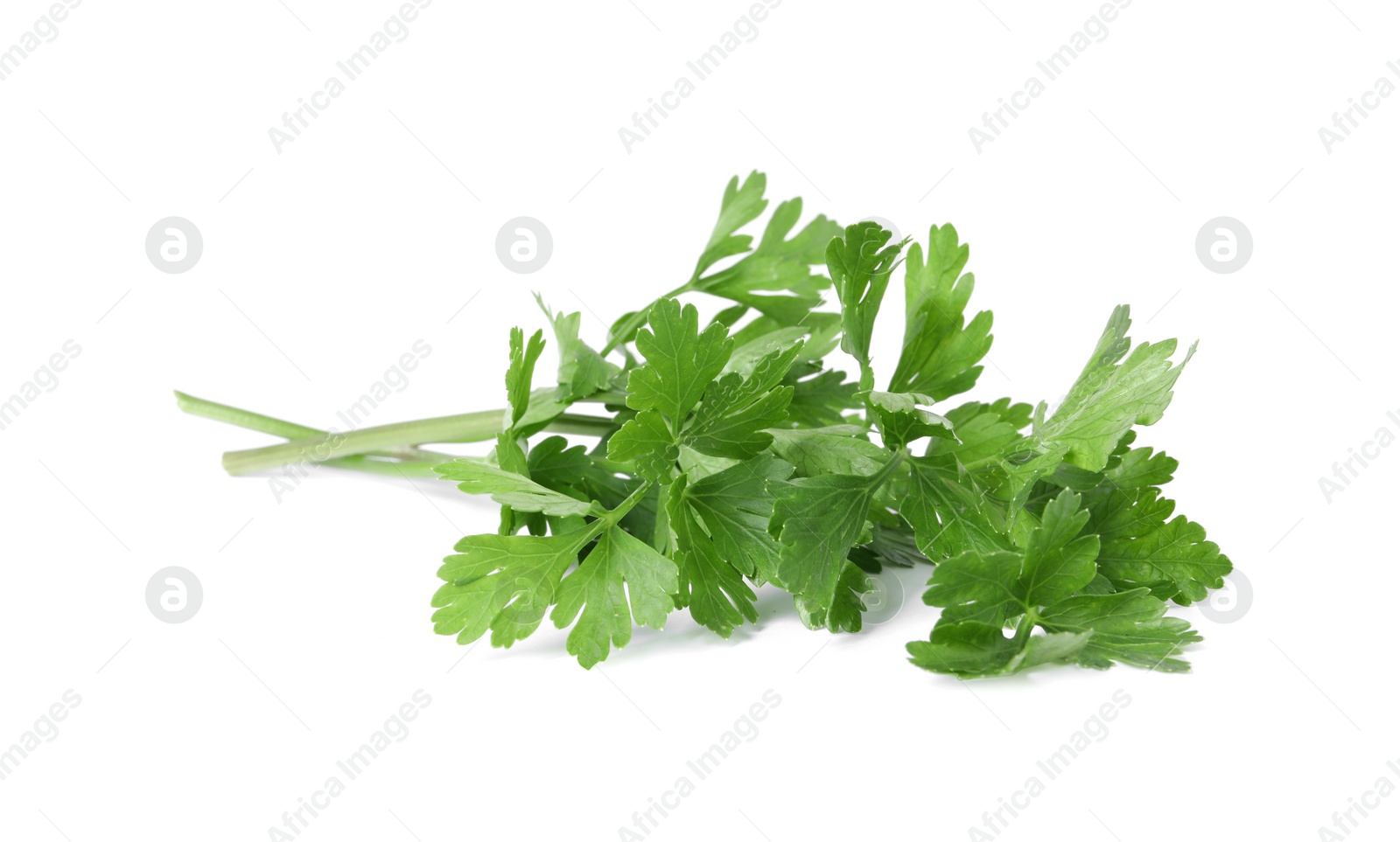 Sprigs of fresh green parsley leaves isolated on white Photo of Sprigs of fresh green parsley leaves isolated on white