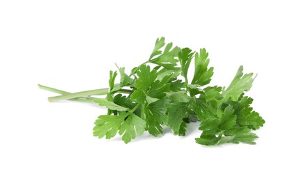 Photo of Sprigs of fresh green parsley leaves isolated on white