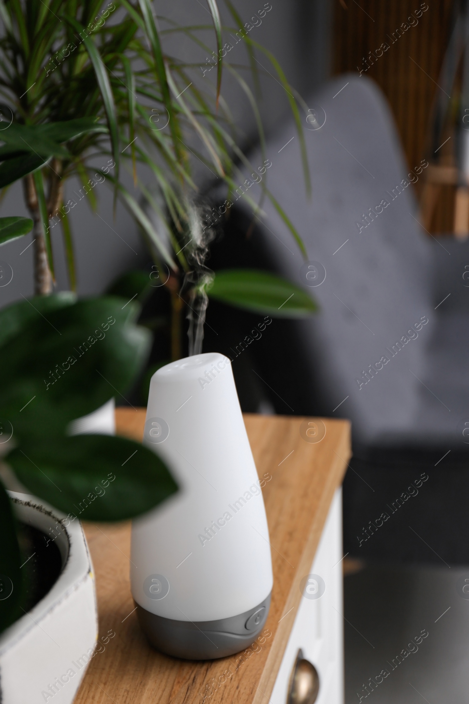 Photo of Plant and oil diffuser on cabinet indoors. Home design idea