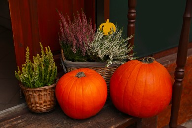 Photo of Beautiful pumpkins and flowers on wooden stairs outdoors