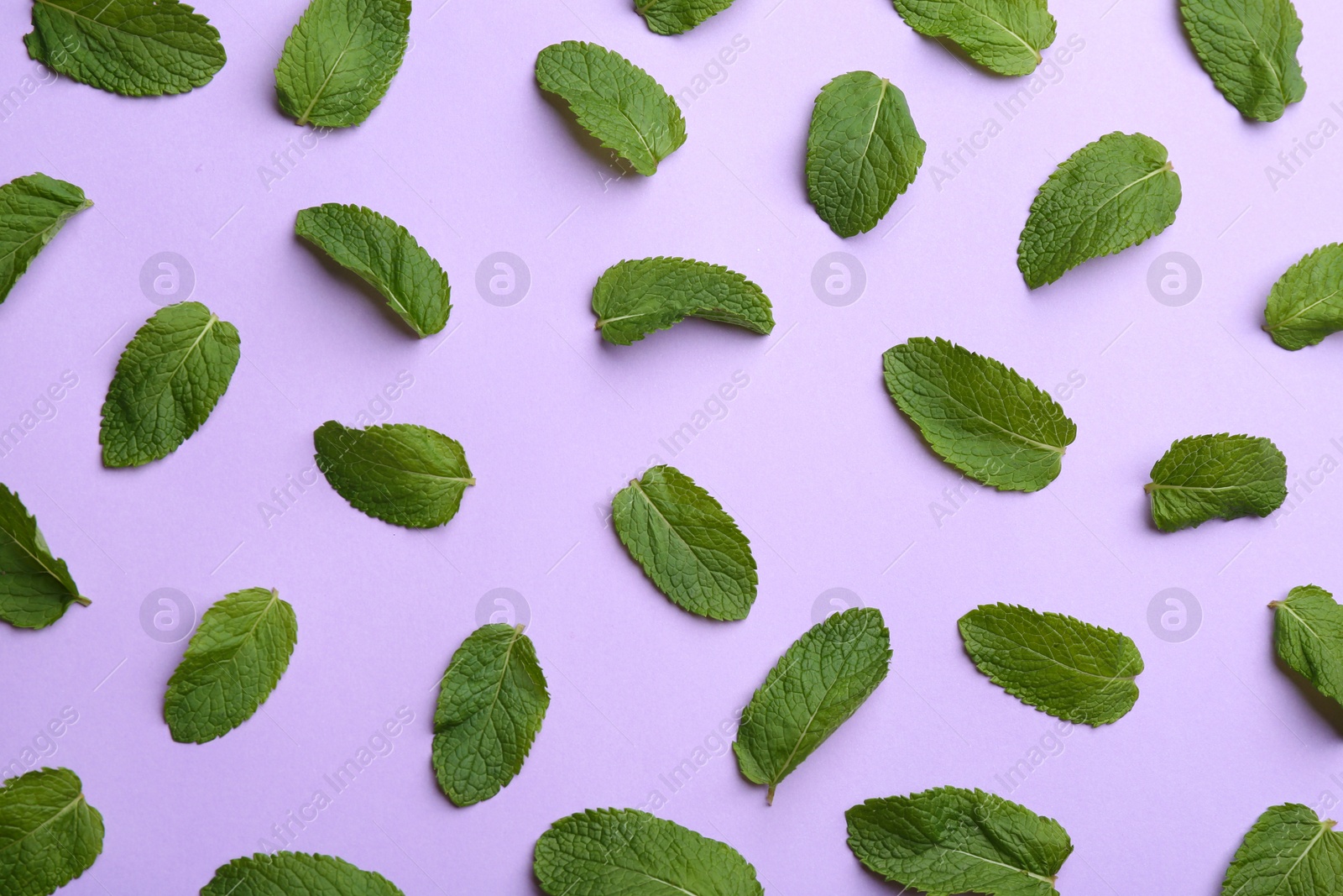 Photo of Fresh mint on purple background, flat lay