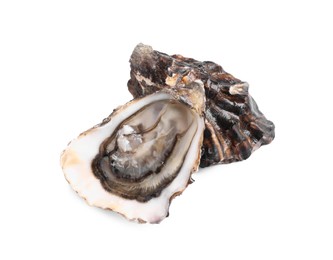 Photo of Fresh raw closed and open oysters on white background