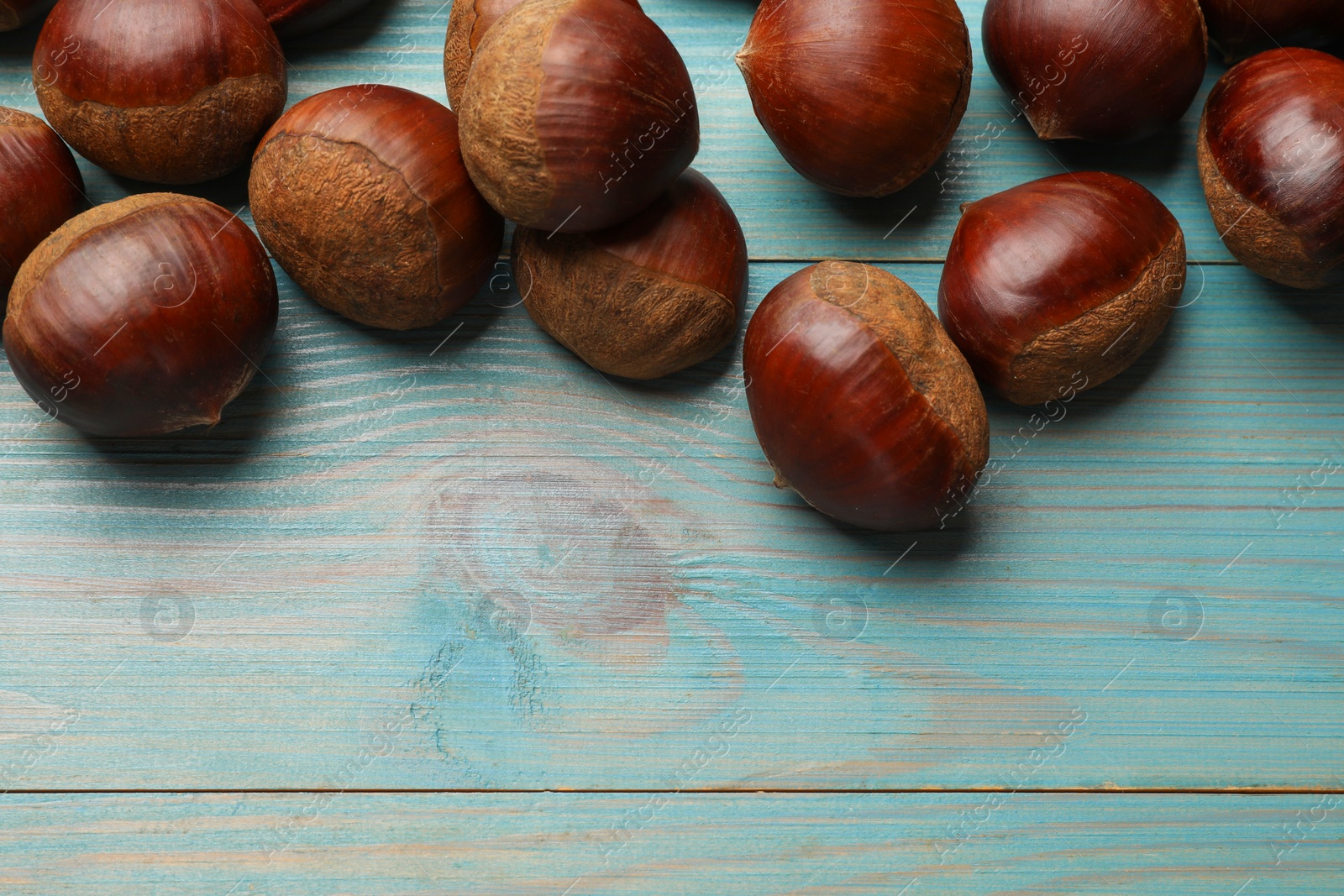 Photo of Roasted edible sweet chestnuts on light blue wooden table, flat lay. Space for text