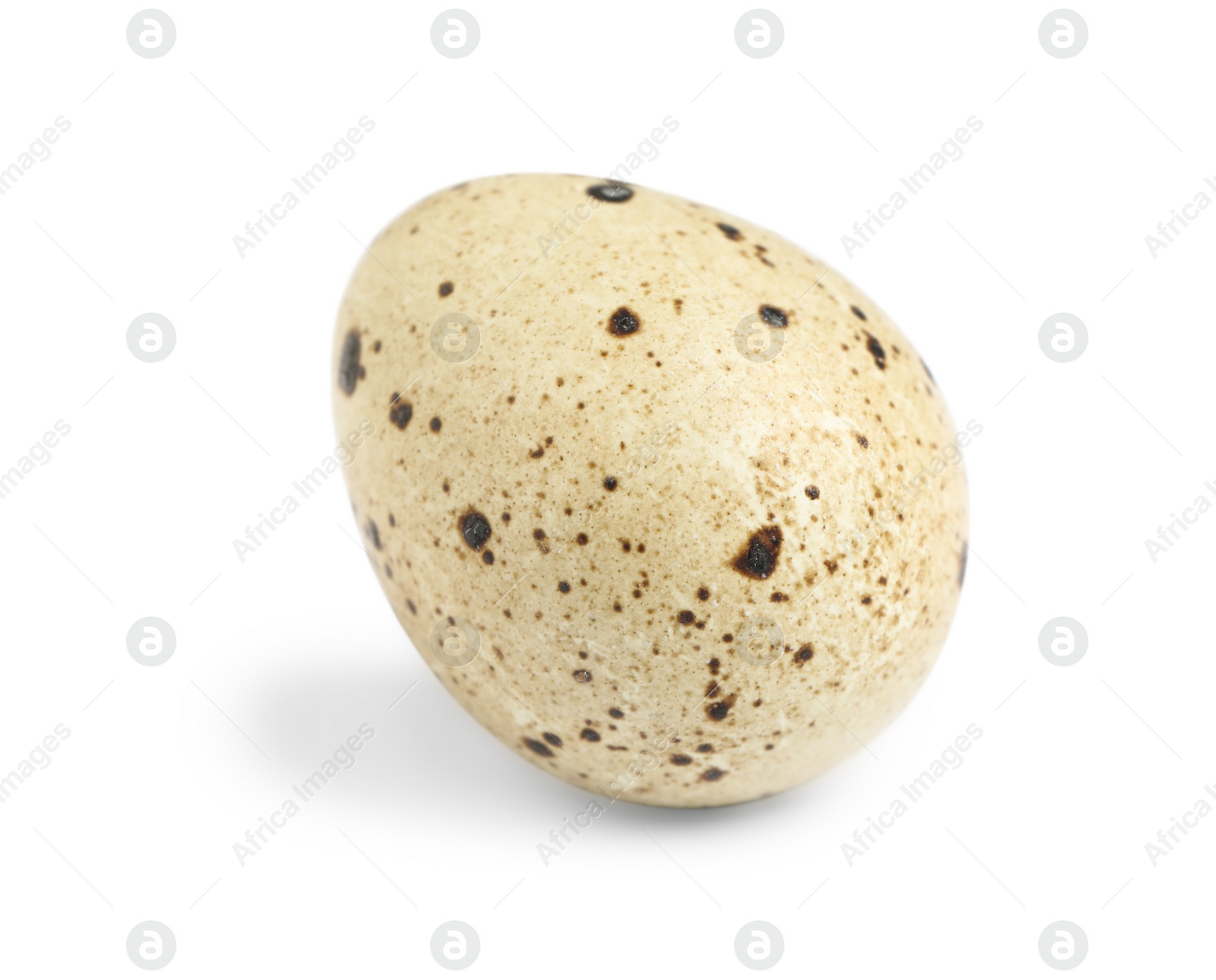 Photo of One beautiful quail egg isolated on white