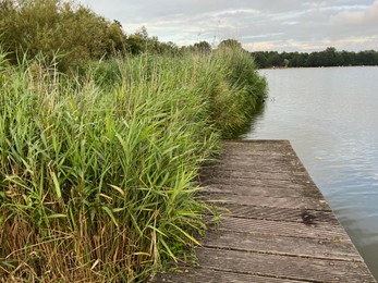 Picturesque view of river reeds and cloudy sky