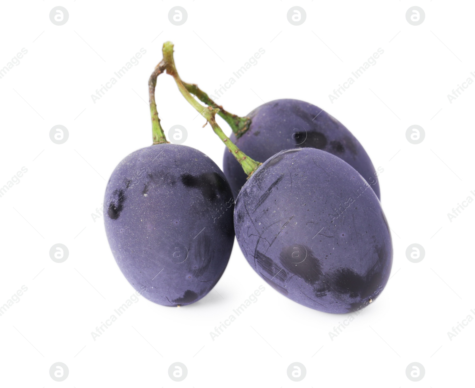 Photo of Delicious ripe dark blue grapes isolated on white