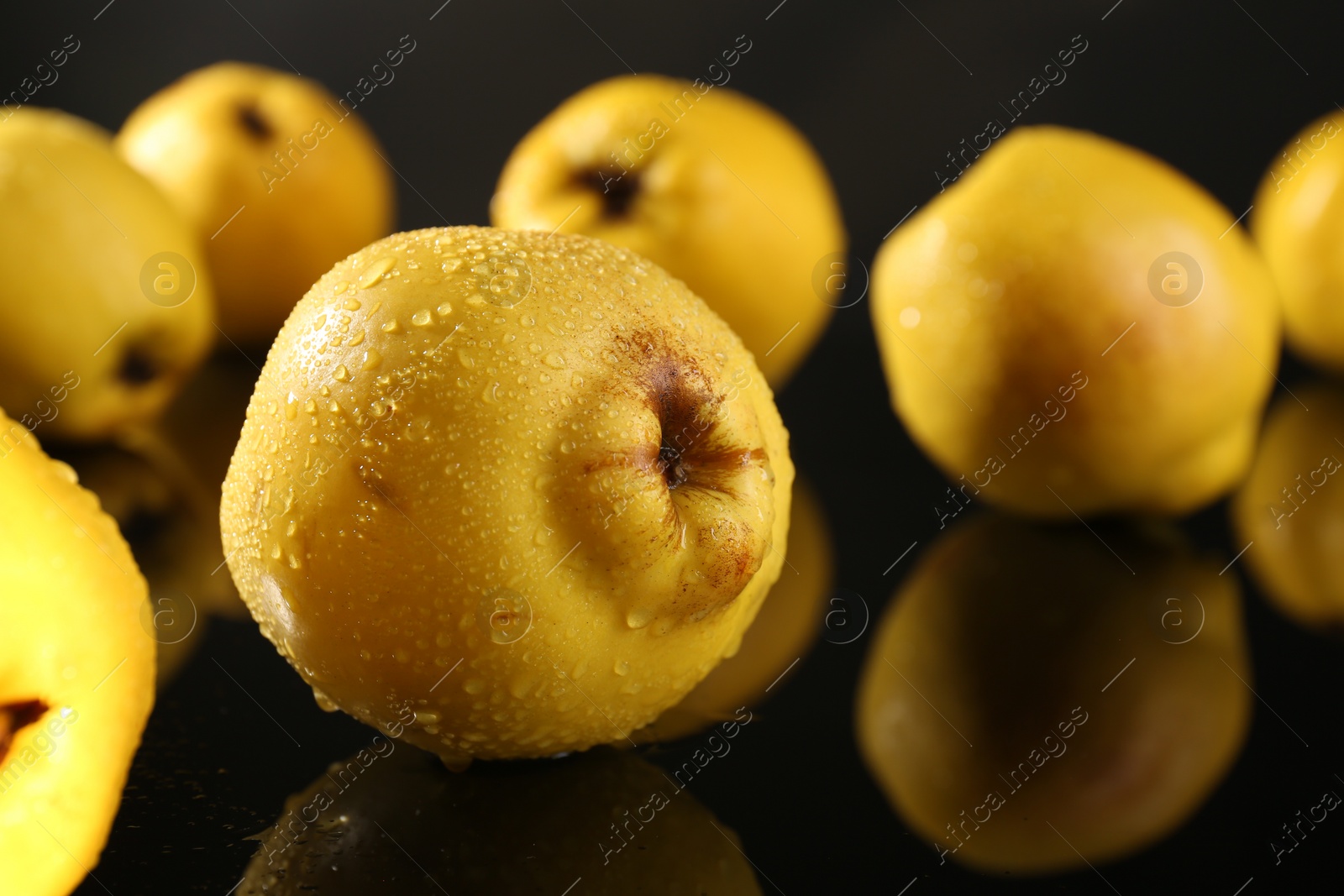 Photo of Tasty ripe quinces with water drops on black mirror surface, closeup