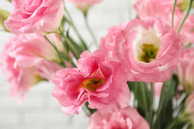 Beautiful Eustoma flowers on light background, closeup