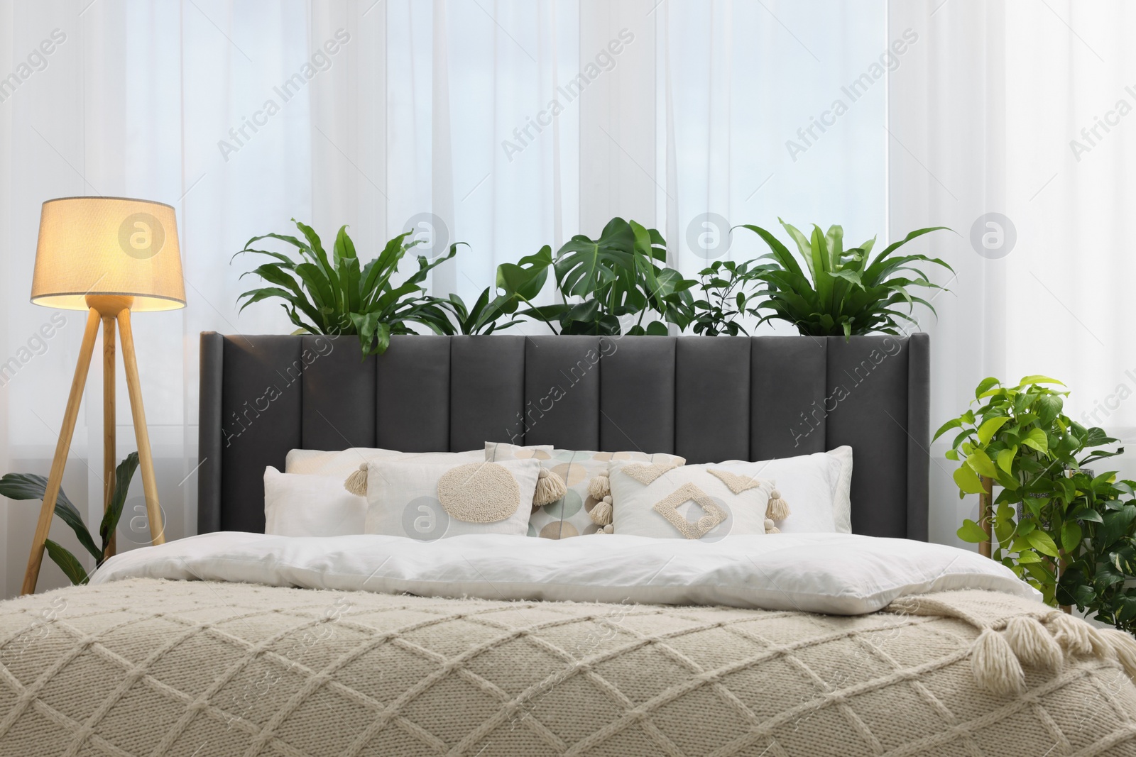 Photo of Large comfortable bed, lamp and beautiful houseplants in bedroom. Interior design