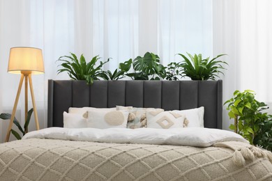 Large comfortable bed, lamp and beautiful houseplants in bedroom. Interior design