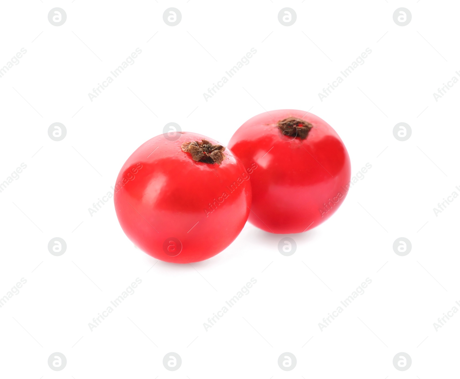 Photo of Delicious ripe red currants isolated on white