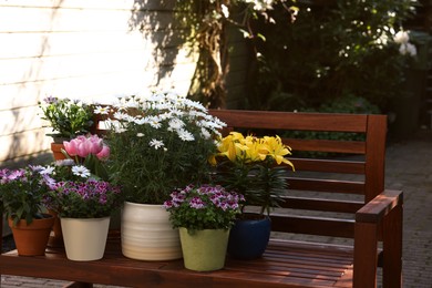 Many different beautiful blooming plants in flowerpots on wooden bench outdoors