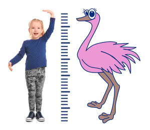 Image of Little girl measuring height and drawing of ostrich on white background