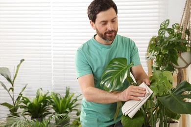 Photo of Man wiping leaves of beautiful potted houseplants with cloth indoors. Space for text