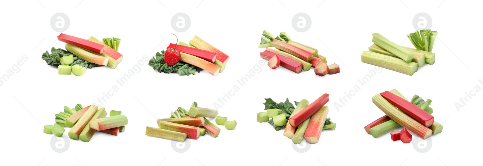 Image of Set with fresh rhubarb stalks isolated on white