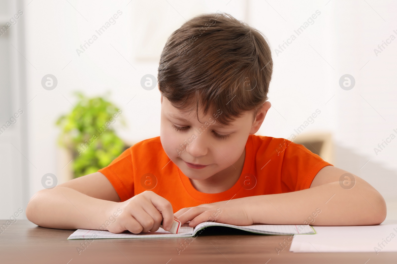 Photo of Little boy erasing mistake in his notebook at wooden desk indoors