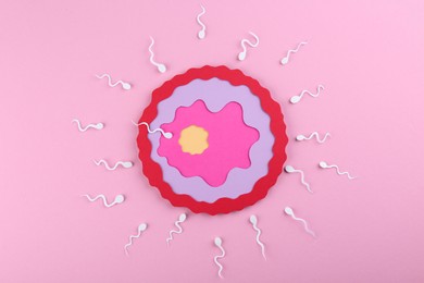 Fertilization concept. Sperm cells swimming towards egg cell on pink background, top view