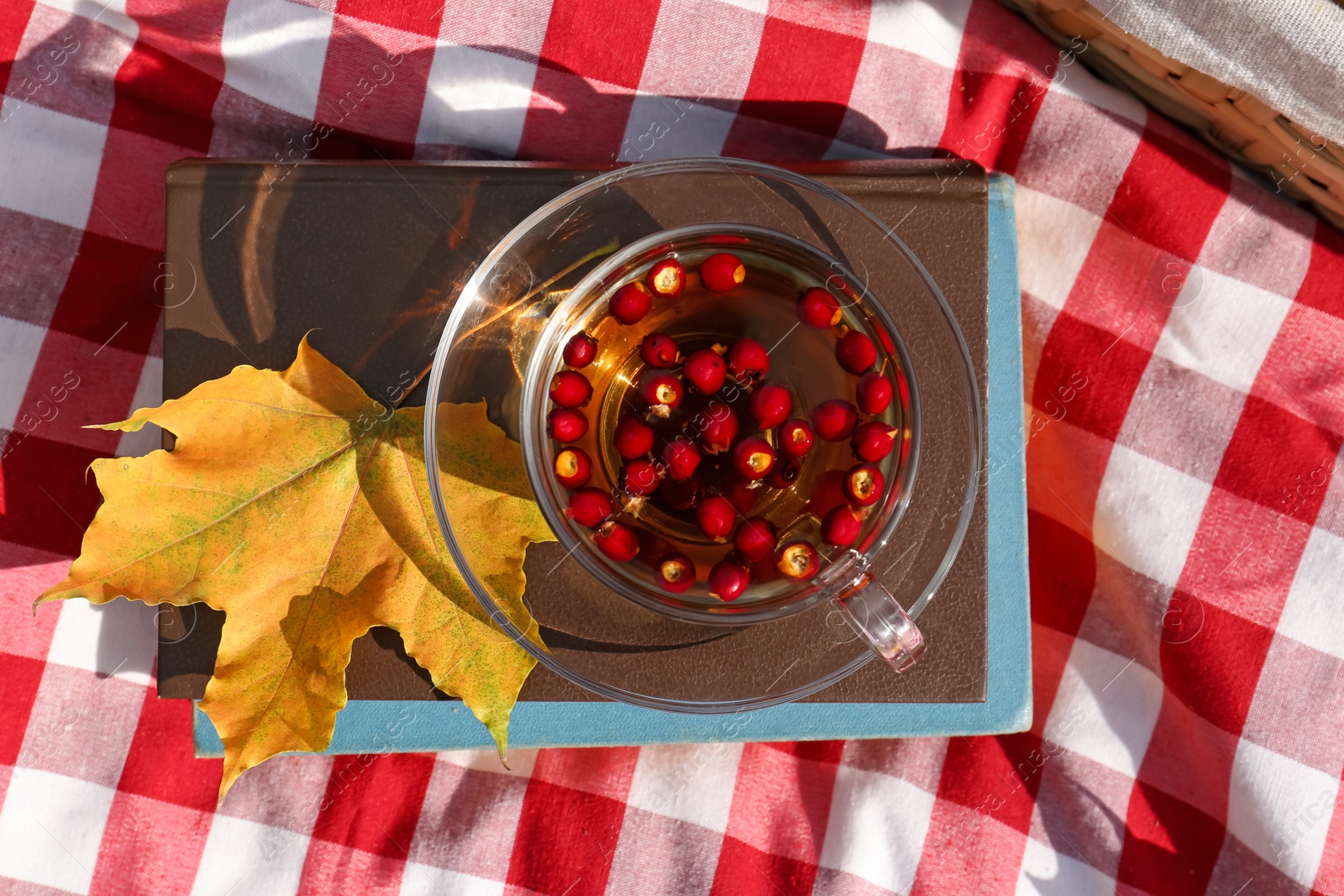 Photo of Cup of tea with hawthorn berries and books on plaid, top view. Autumn atmosphere