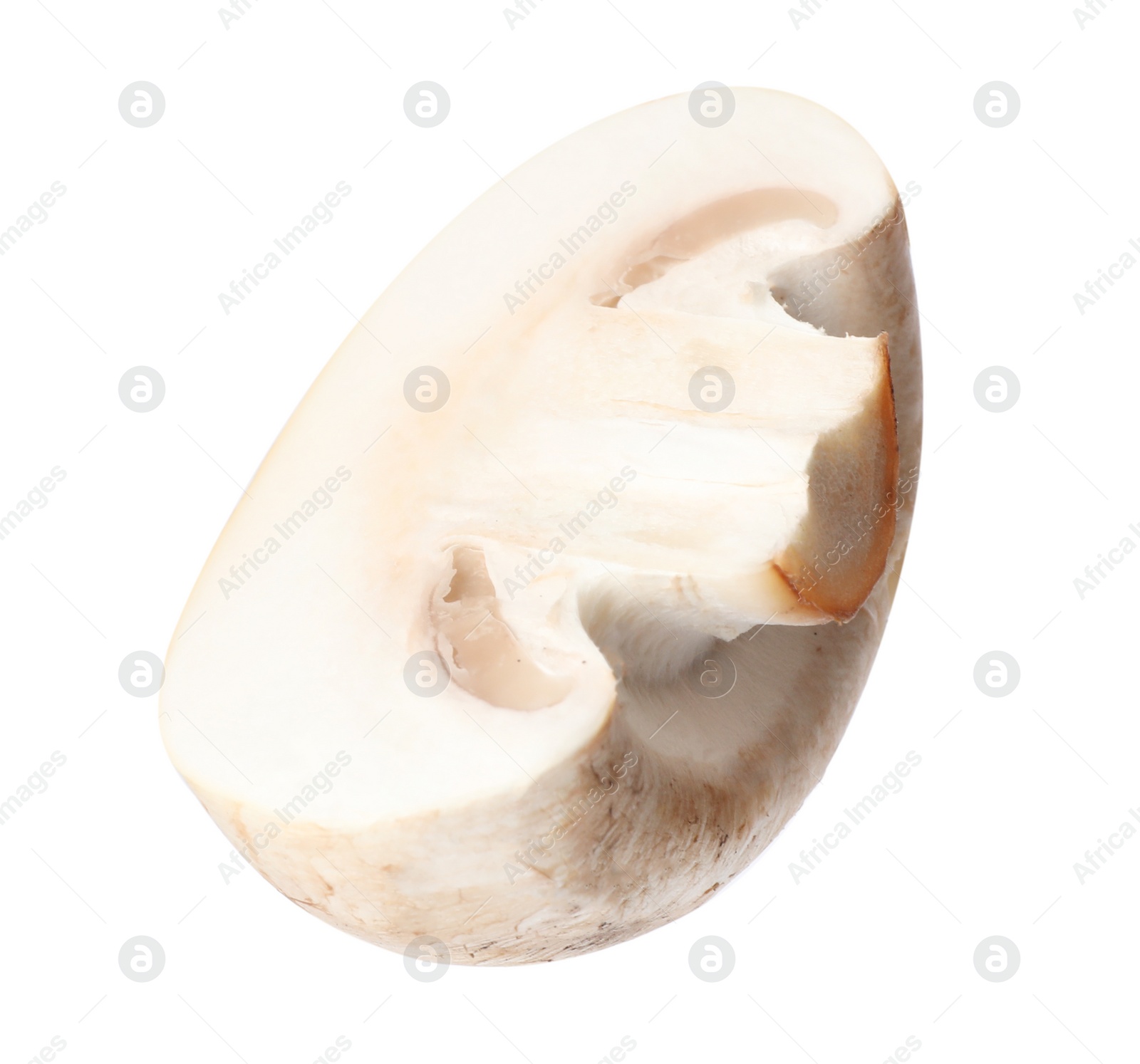 Photo of Piece of fresh mushroom on white background