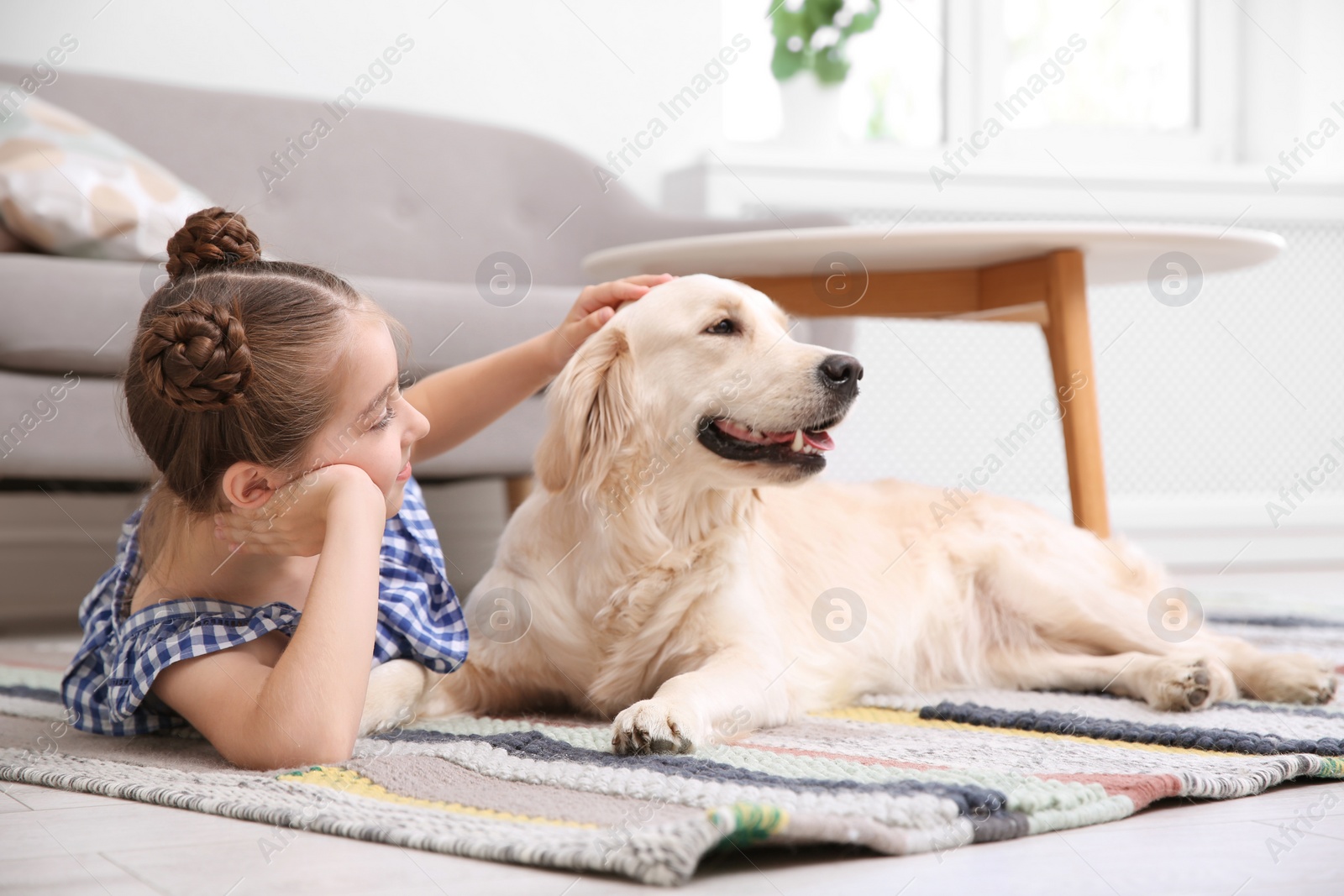 Photo of Cute little child with her pet on floor at home