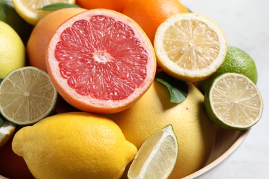 Photo of Different fresh citrus fruits and leaves in bowl on light table, closeup