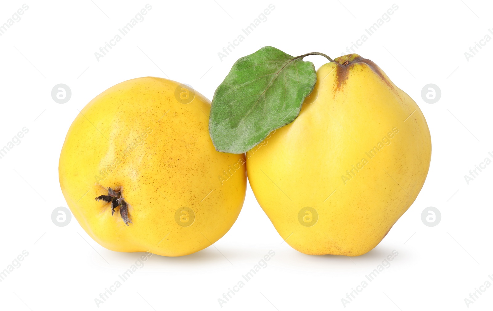 Photo of Fresh ripe quince fruits isolated on white
