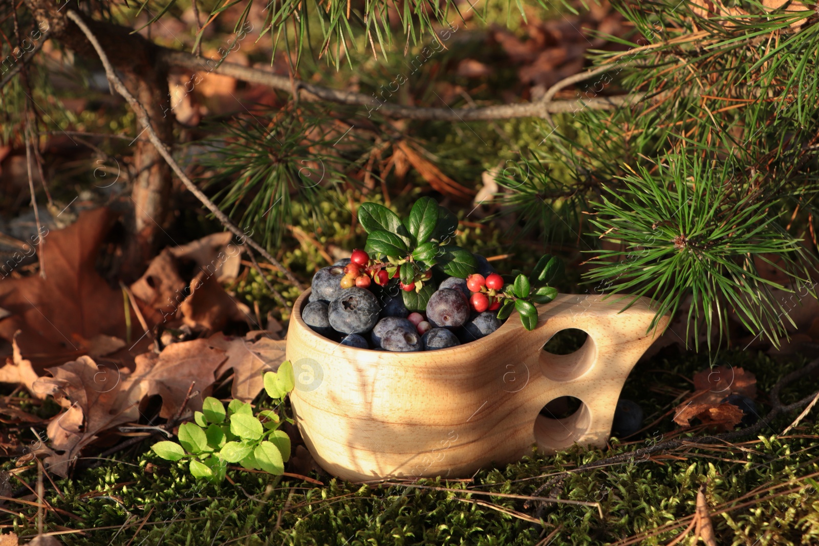 Photo of Wooden mug full of fresh ripe blueberries and lingonberries on grass