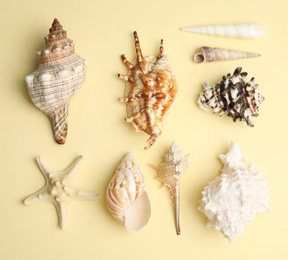 Photo of Different beautiful sea shells on yellow background, flat lay